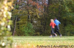 Zwei Menschen joggen durch den Wald